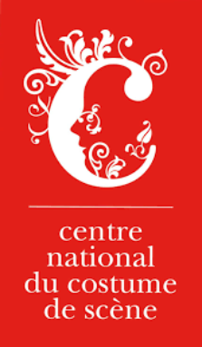Logo CNCS.png